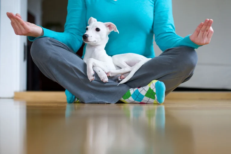 Puppy Yoga: новый тренд физической активности